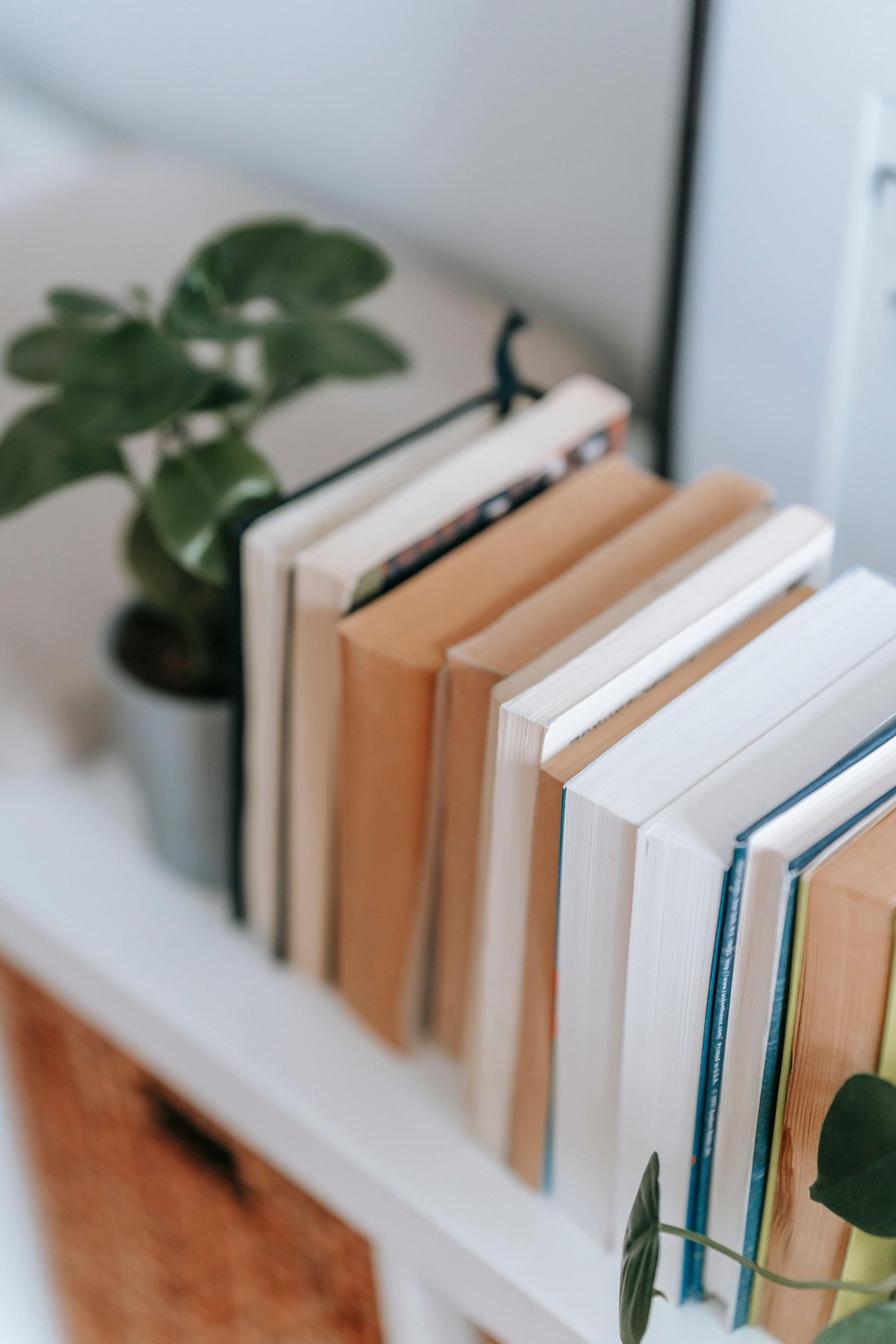 The Book Boutique